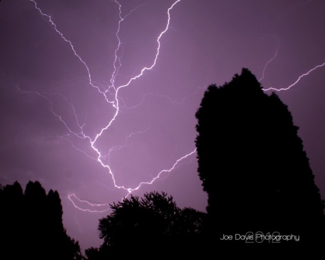 Thunderstorm and/or Fireworks Anxiety in Dogs