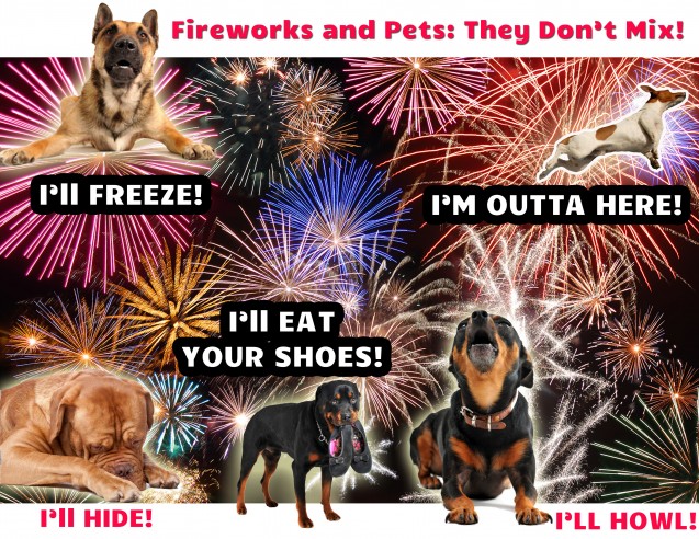 Fireworks and Pets Do Not Mix Well!